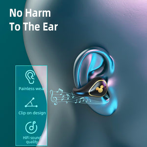 Disney T20 TWS sport noise reduction bluetooth earphones